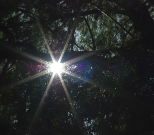 Courtesy of Mensatic