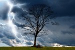 tree and storm 2, courtesy George&nbsp;Holden