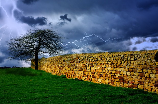 tree and storm, courtesy George Hodan